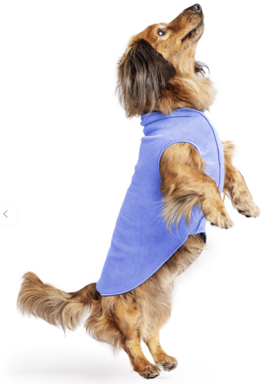 Gold paw dog sweaters cheap
