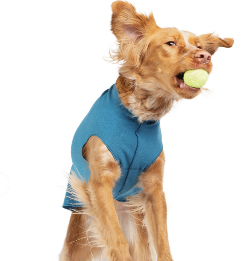 Gold Paw Stretch Fleece Dog and Cat Sweater Uptown Pup Healthy Pet Food