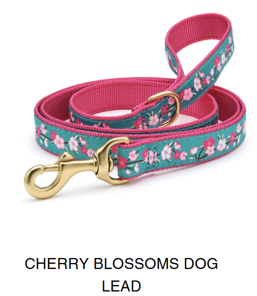 Up country leashes new arrivals