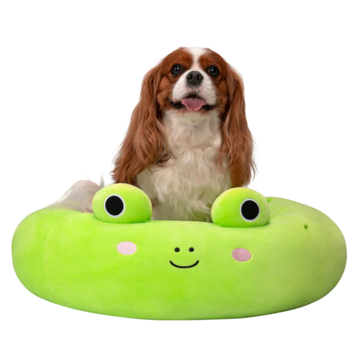 Squishmallow Wendy Frog Bed, Uptown Pup