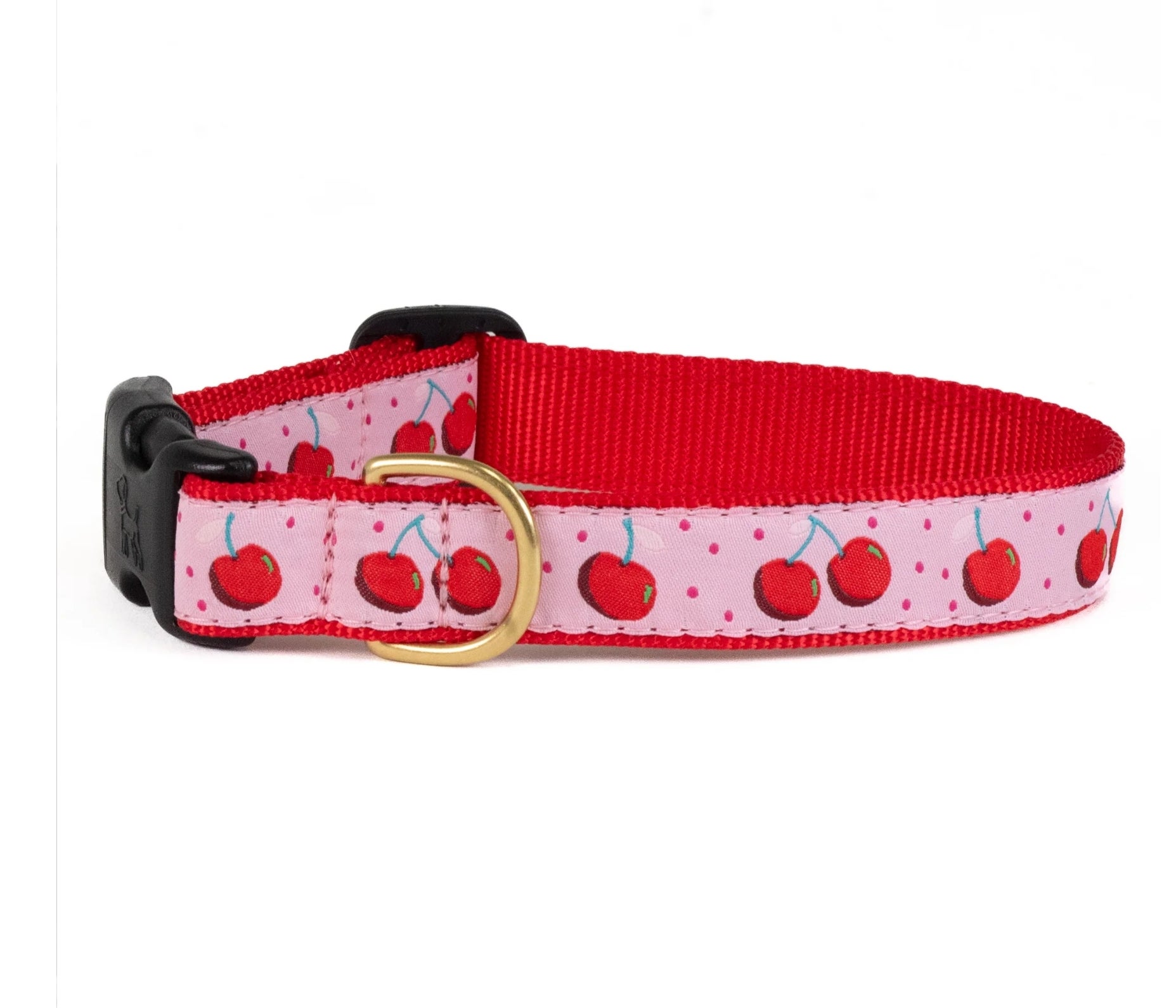 Uptown country dog collars top
